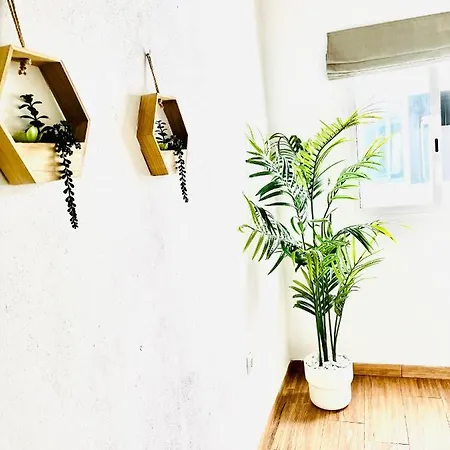 Dakota's House Apartment *